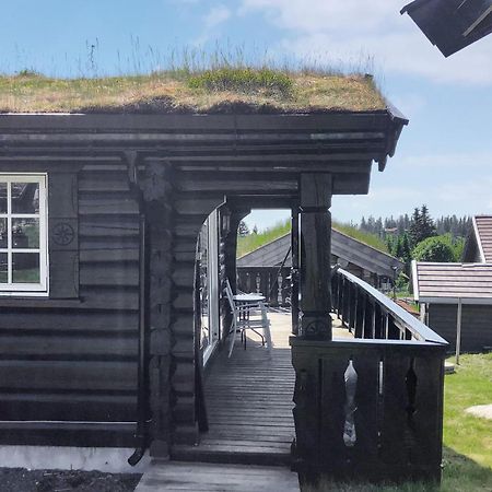 Vila Sjusjoen Setergrend 4730 Exteriér fotografie