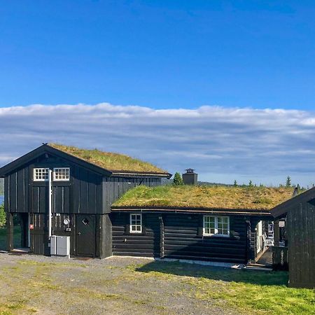 Vila Sjusjoen Setergrend 4730 Exteriér fotografie